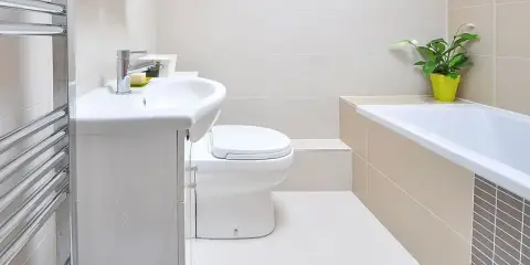 toilet toilet